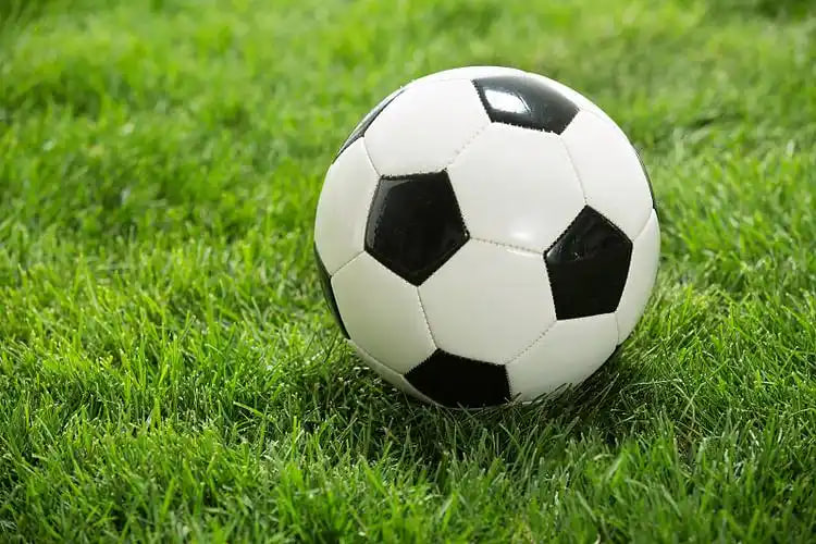 多平台客户端下载展示